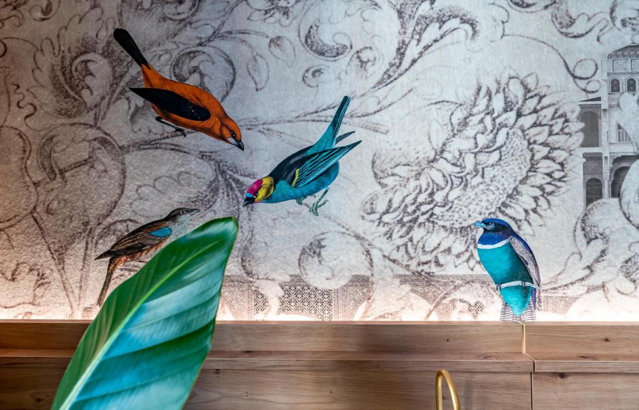 Terra Artis Guest House ฟลอเรนซ์ ภายนอก รูปภาพ